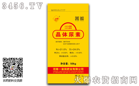 Ԫ���^�����؃r�������r���߄ݷ���