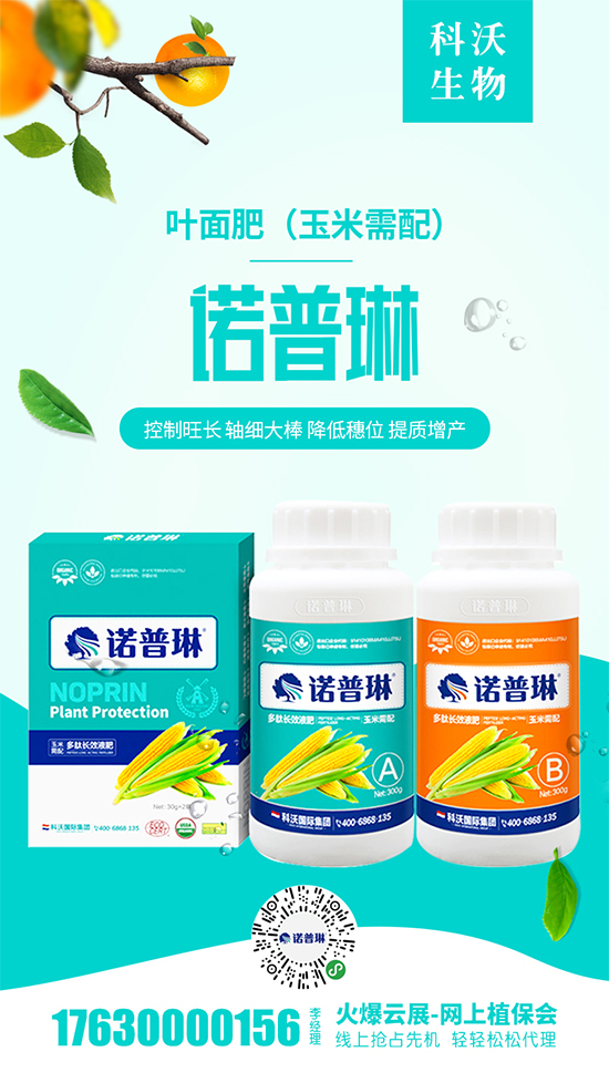 2020-5-1�ӱ��؅^���׃r����S��rһ�[