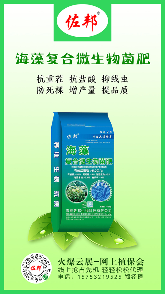 ������@�r�����{��������@�Ј������r2020-5-15