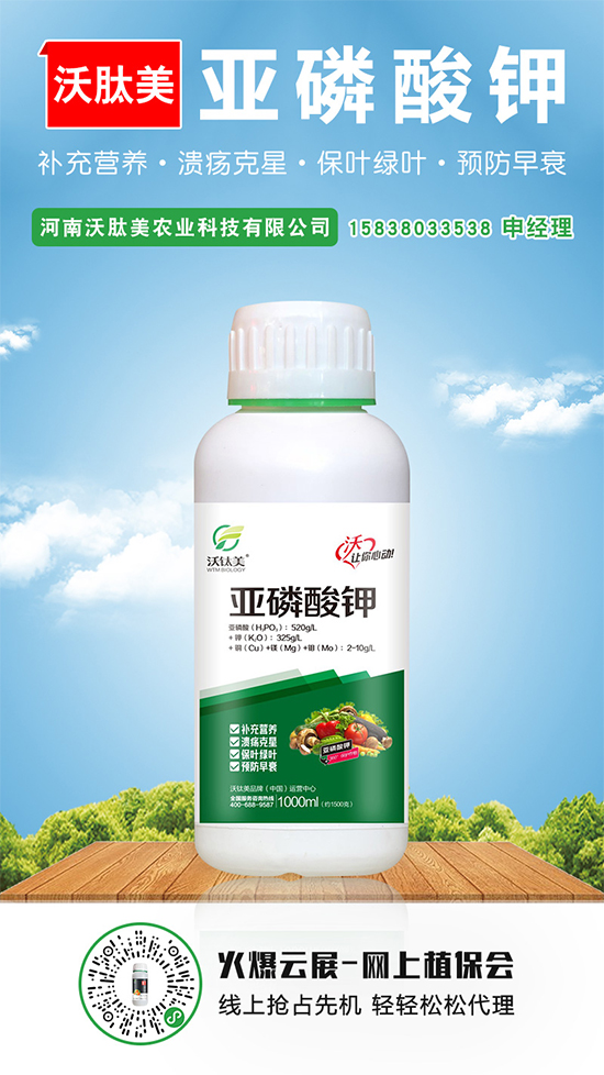 2020-5-16�������@�r�������܈�