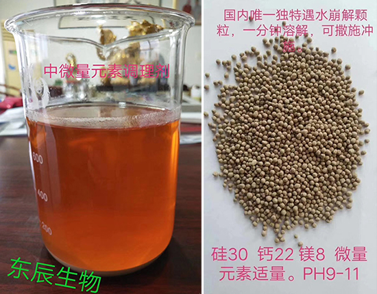 礦物源中微量元素肥料-磁力有機硅鈣-東辰生物