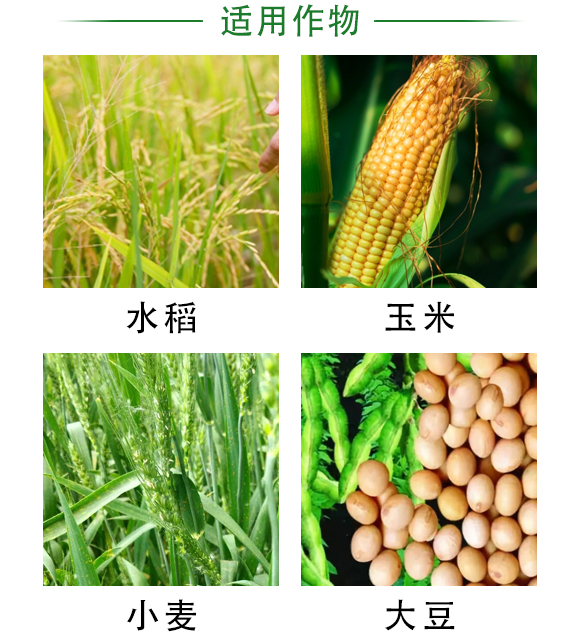 BSX-60T�ͱ��غY�x�C-�ư��r�I�Cе