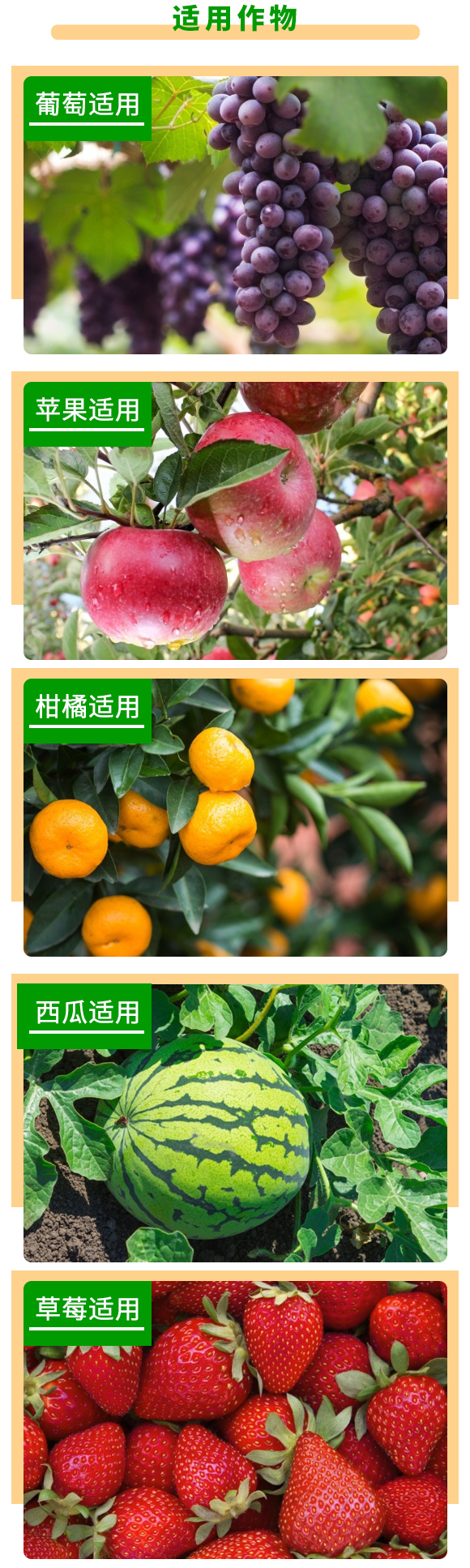 �ߝ�ț_ʩ�ι��10-5-30-������-��������