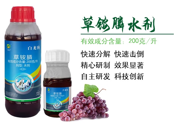 ���@�ˮ��-�����x-���ɽ�