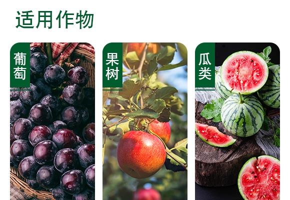 ���@�ˮ��-�����x-���ɽ�