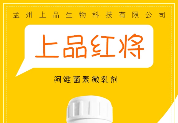 ���S����΢�鄩-��Ʒ����