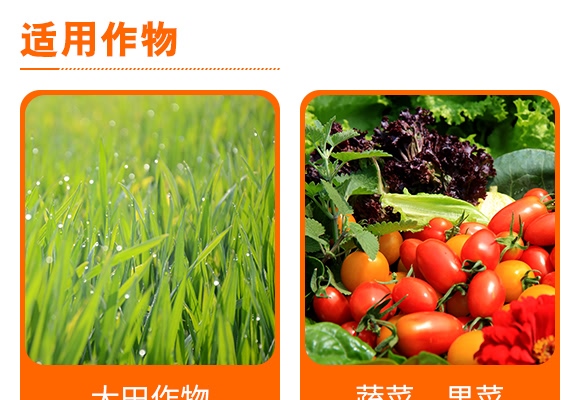 ���S����΢�鄩-��Ʒ����