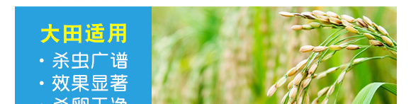 ������-��Ʒ����