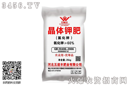 �ͺϷ��Ј��ַ��\�У�2020-9-25���ՏͺϷʃr�������r