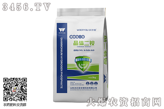 ���@���������2020-9-25����������@�r�������r