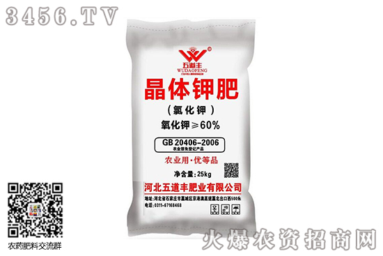 ���@��(b��o)�r(ji��)��(ji��n)ͦ������2020-10-2����������@�r(ji��)���(b��o)�r(ji��)һ�[