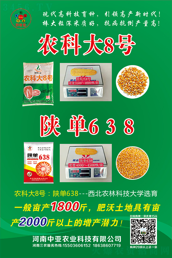 ꃆ�638���׷N��-�ÉѼ�-�Ё��r�I