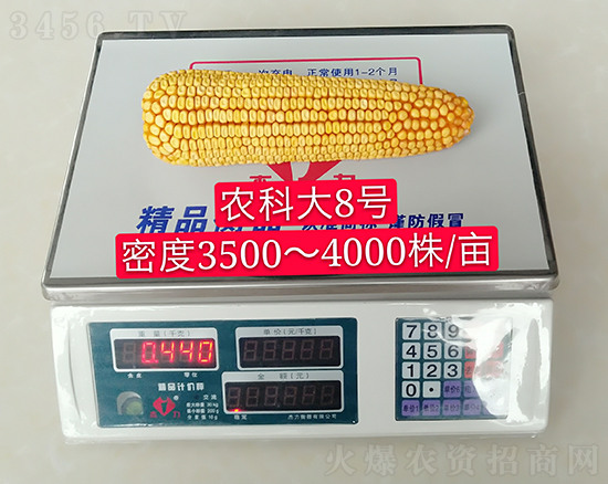 �t�S�r(n��ng)�ƴ�8̖(h��o)���׷N��-�ػ��w��-�Ё��r(n��ng)�I(y��)