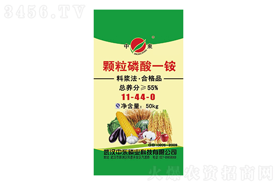 ���@�r�񕺷���2020-12-11�������@�r�������r