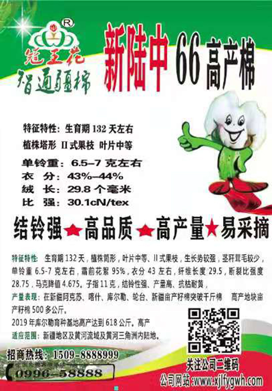 �����66̖�޻��N��-��ͨ����-���SԪ