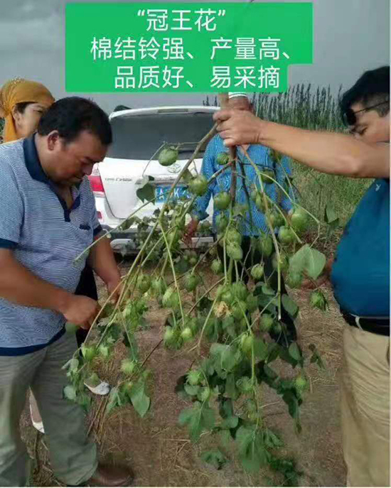 �����66̖�޻��N��-��ͨ����-���SԪ