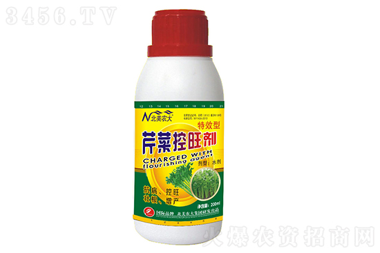 露地芹菜什么時候種較合適?露地芹菜種植技術和種植時間 露地芹菜什么時候種較合適?露地芹菜種植技術和種植時間