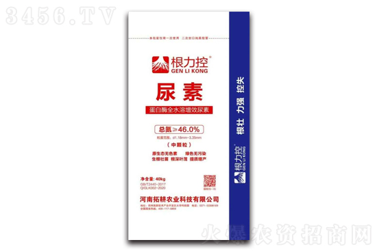 ���؈�r�^�m���{10-40Ԫ/����2021-2-20�������؃r���r