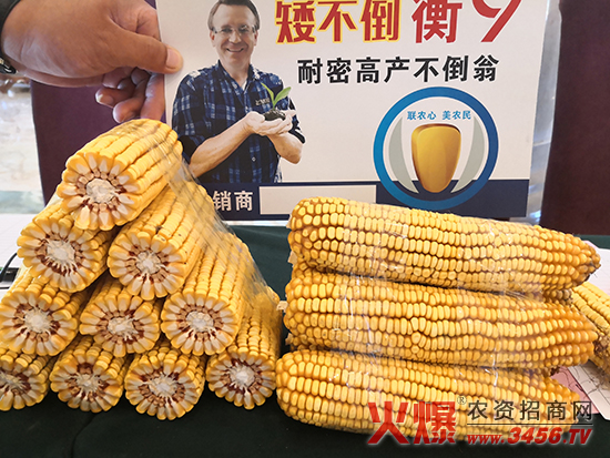 ���r�I�Ƽ����ӱ������޹�˾