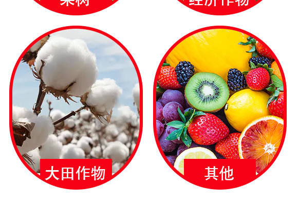 钃熼棽-0_05.jpg 钃熼棽-0_05.jpg