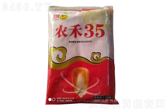 2021-6-10今日玉米價格報價一覽 2021-6-10今日玉米價格報價一覽