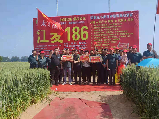 ��������186-С���N��-�����r�I