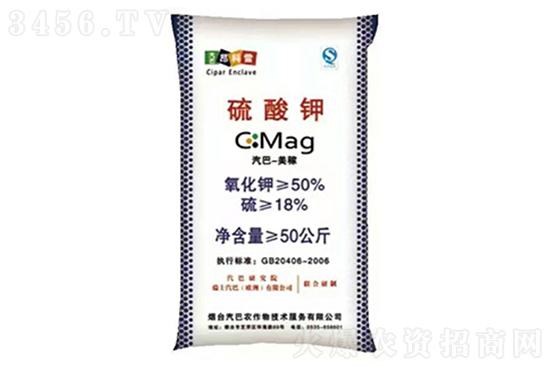 2021��8��16�Շ���(n��i)⛷ʃr���r�����߄�