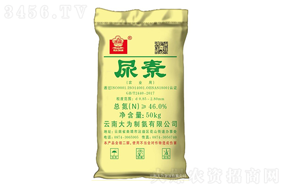 2022-1-10�������؃r�������r