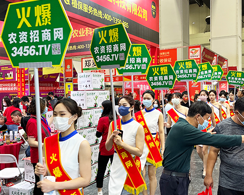 ȫ�W(w��ng)�ƏV������(zh��n)���̣����r(n��ng)�Y�W(w��ng)�W���ǈ���