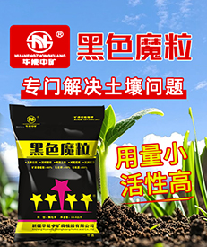 �½��A���еV��ֲ�����޹�˾