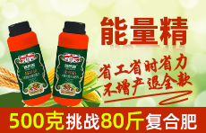 ����ʩ�R�����＼�g(sh��)���޹�˾