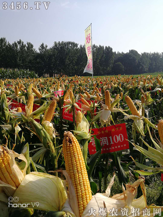 河南鑫博農業科技有限公司總經銷