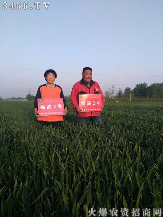 河南鑫博農業科技有限公司總經銷