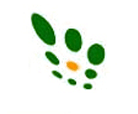 ���������r�N�I���޹�˾