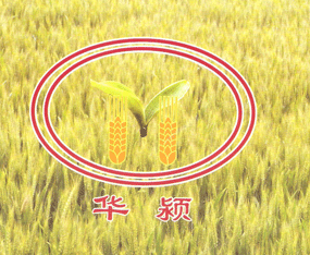 �����f�d�N�I���޹�˾