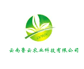 ���ϵώ��r�I�Ƽ����޹�˾