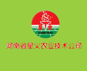 ����ʡ�ǻ��r�I(y��)���g���޹�˾