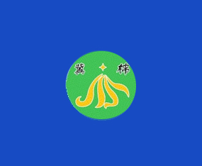 �ӱ����޽����Ƽ����޹�˾