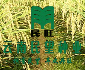 ���������N�I���޹�˾