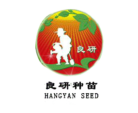 ���зN��|�½����S�r�I�Ƽ��lչ���޹�˾