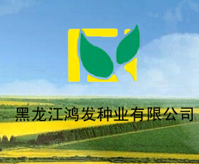 ���������l�N�I���޹�˾