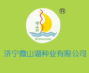 ����΢ɽ���N�I���޹�˾