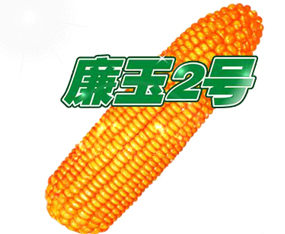 �ӱ��G�S�N�I���޹�˾