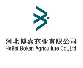 �ӱ������r�I���޹�˾