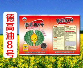 �Ĵ����S�N�I����؟�ι�˾