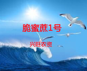 �i���d���r�Y���޹�˾