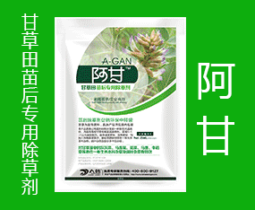 ���ݴ��n����ƌW���޹�˾