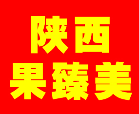 ����������r�����޹�˾