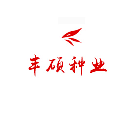 �����S�T�N�I���޹�˾