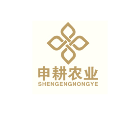 �Ϻ�����r�I�lչ���޹�˾